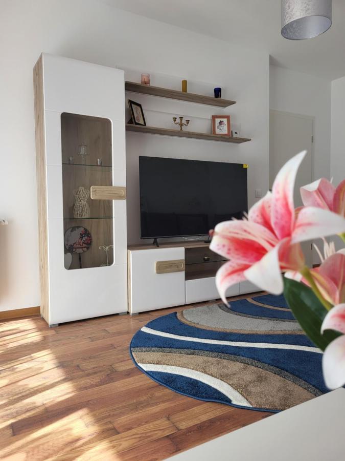 Apartament C&L Braşov Exterior foto